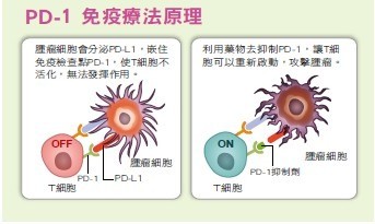 光 免疫 療法 2020