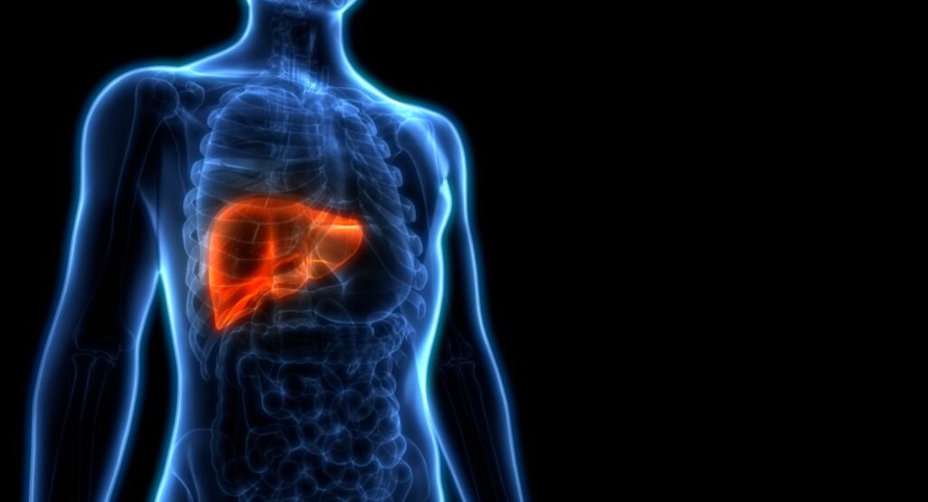 脂肪肝病徵=大肚腩？認識成因及診斷方法！