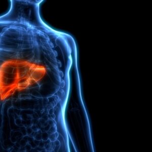 脂肪肝病徵=大肚腩？認識成因及診斷方法！