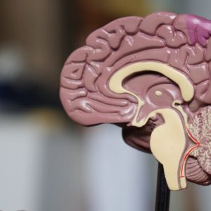 【腦癌】症狀難察覺？立即了解腫瘤種類及分級方法！