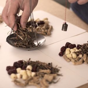 【中藥】常見藥材及功效介紹，食中藥會唔會有副作用?