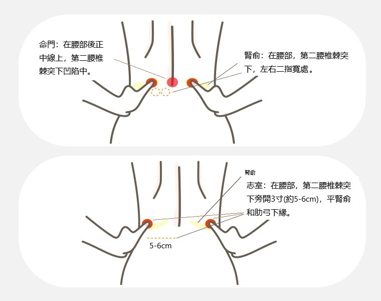 腎兪 志室 命門