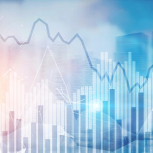 Asset Allocation – Learning from Past Asset Class Data