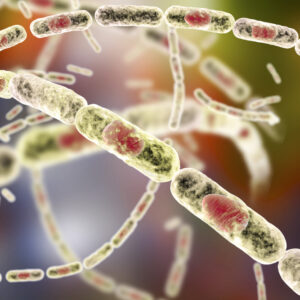 【炭疽】傳染力有如生化武器？詳解症狀、治療及預防方法