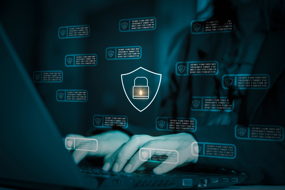 Bowtie一年阻擋12萬個網絡攻擊