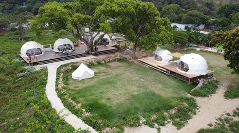 元朗小蜜蜂農莊 BeeBeeFarm