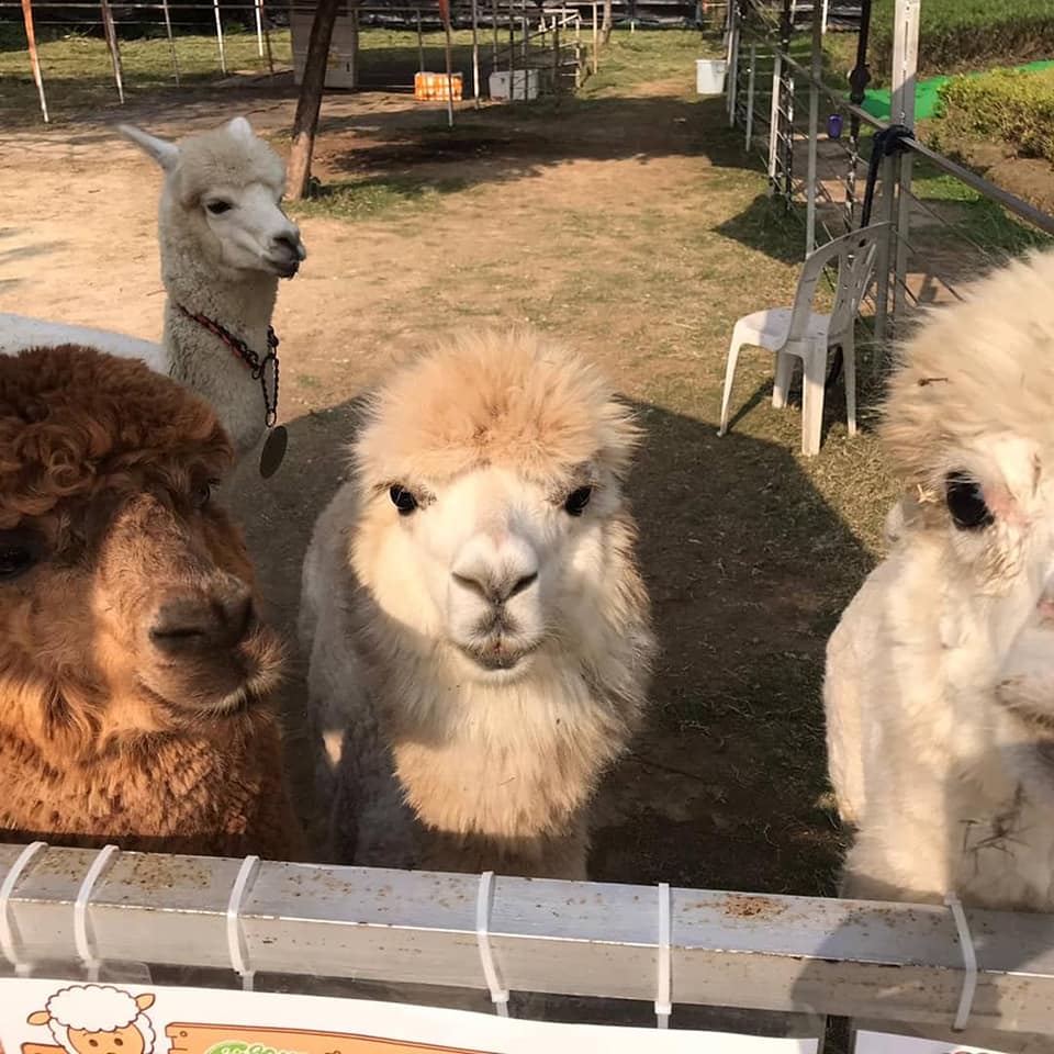 有機薈低碳農莊