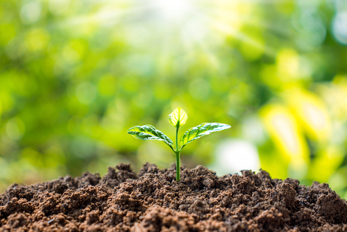 【立春 2022】時間係邊日？一文了解習俗及禁忌