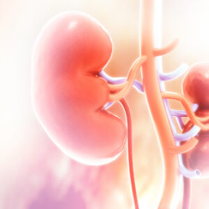 腎衰竭有什麼症狀？如何治療？腎移植保險賠唔賠？