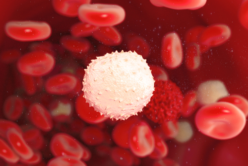 白血球有什麼功能？一文了解過高或過低會出現的症狀