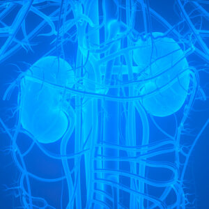 許紹雄患腎癌離世：存活率長嗎？成因、症狀治療及預防方法