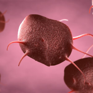 【血小板】正常值是多少？為甚麼會出現異常？即看控制方法！