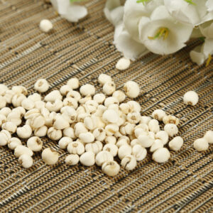 【川貝】詳解功效、適合人士及選購貼士（附食譜建議）