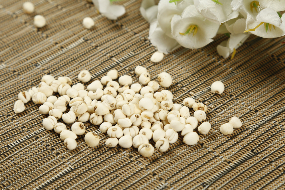 【川貝】詳解功效、適合人士及選購貼士（附食譜建議）