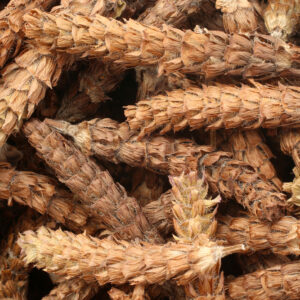 夏枯草煲幾耐？詳解功效、副作用及適合人士（附食譜建議）