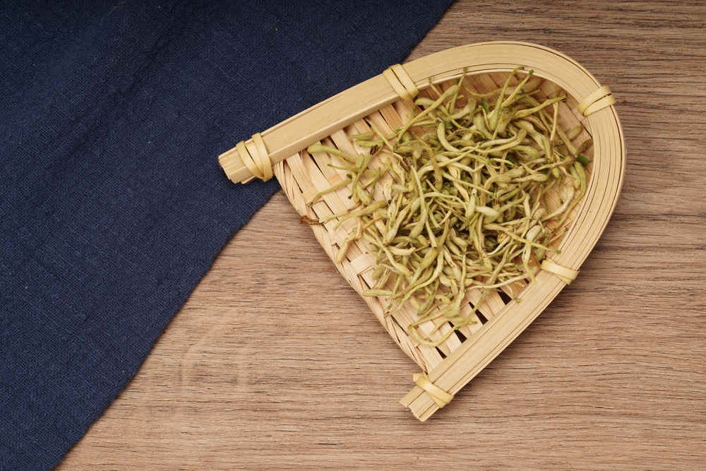 【金銀花】清熱解毒仲有助減肥? 詳解功效、禁忌及適合人士