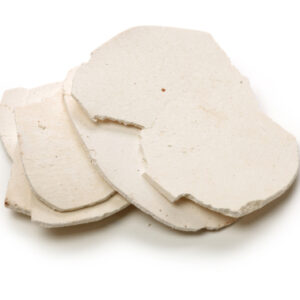 【茯苓】中醫教你正確食用方法 解構功效、禁忌與副作用