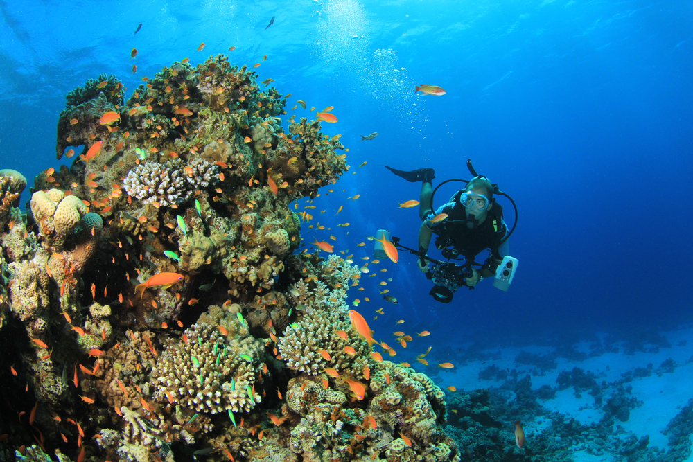 Diving Insurance: Does Normal Travel Insurance Cover Diving?