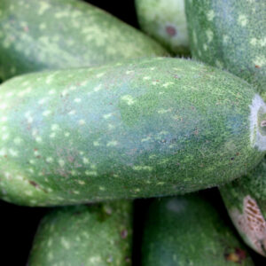 【節瓜】食用有何功效及禁忌？(附中醫師精選食譜)