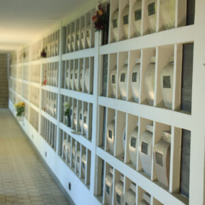 市區骨灰龕要排4年？政府新舊龕位輪候時間全面睇