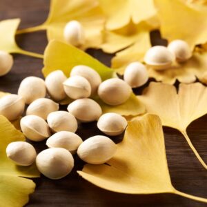 【白果】吃多少會中毒？中醫分享功效及禁忌