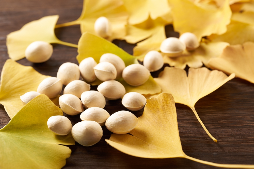 【白果】吃多少會中毒？中醫分享功效及禁忌