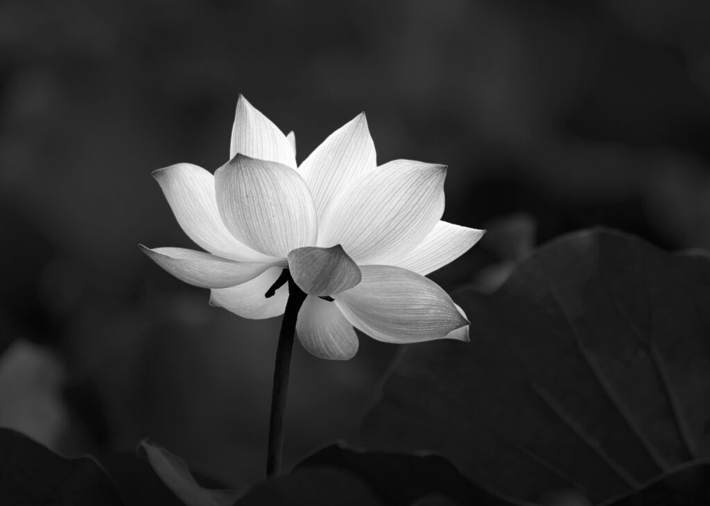 《破·地獄》電影講咩？了解破地獄儀式的起源、原因及步驟