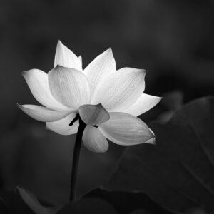 《破·地獄》電影講咩？了解破地獄儀式的起源、原因及步驟