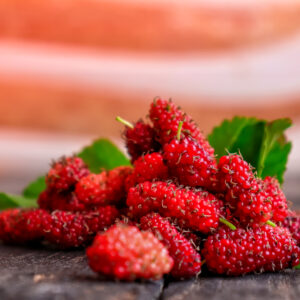 【紅桑子】6大功效、好處及食用禁忌（附營養＋卡路里）