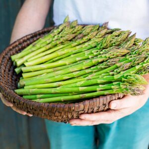 【蘆筍】6大功效、好處、食用禁忌（附營養＋卡路里）