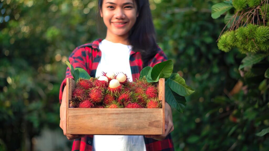 【紅毛丹】6大功效、好處、食用禁忌（附營養＋卡路里）