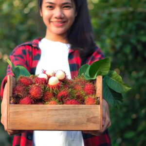 【紅毛丹】6大功效、好處、食用禁忌（附營養＋卡路里）