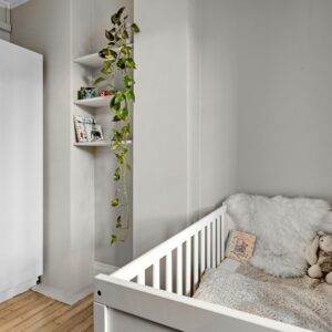 Bowtie's Children Growth CI VS Term CI: Which One's Best?