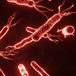 幽門螺旋菌會傳染嗎？了解來源、成因及傳播途徑