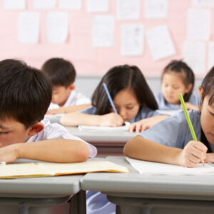 12校網：地區範圍、小學排名、一條龍學校及屋苑全攻略2025