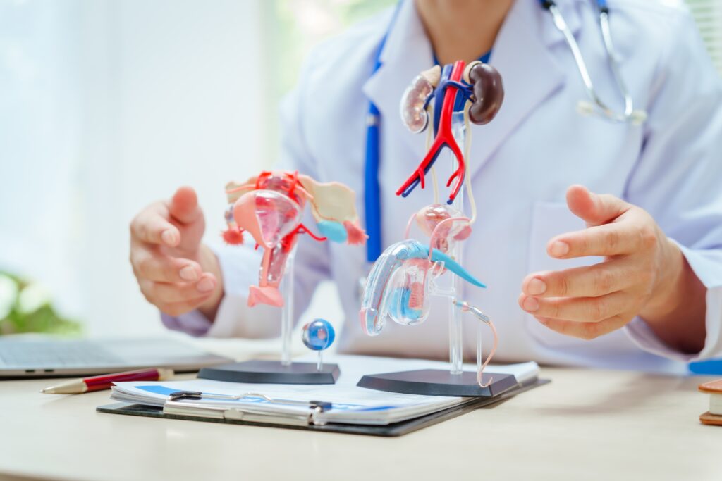 性病：種類、初期症狀、傳播方式、檢查、治療與常見疑問