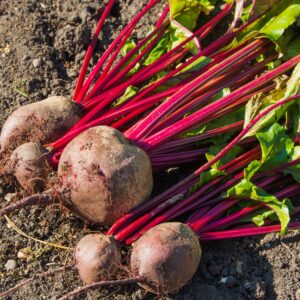 【紅菜頭】了解6大功效、卡路里、食用禁忌（附營養及食譜）