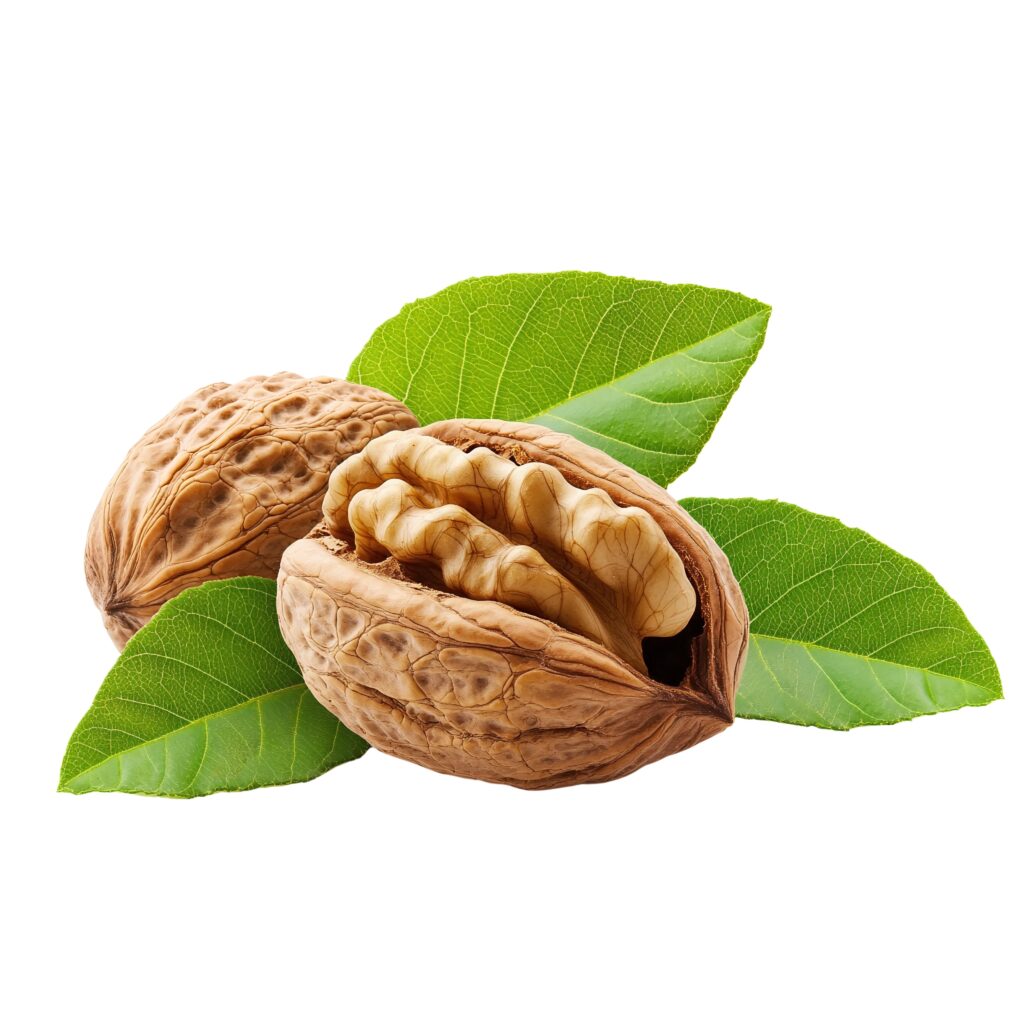 【核桃】了解6大功效、卡路里、食用禁忌（附營養及食譜）