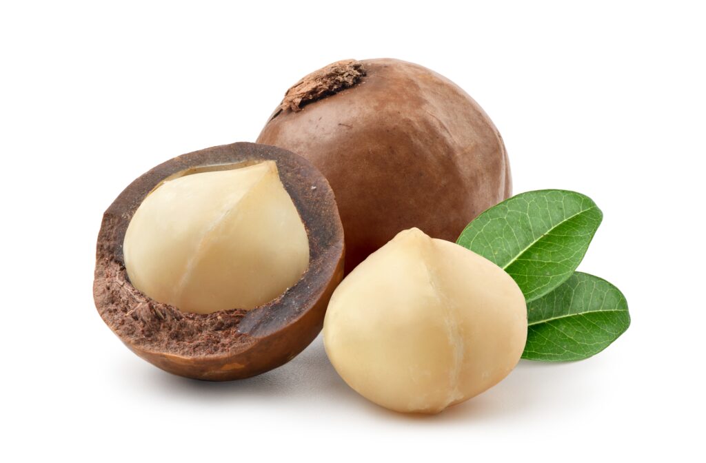 【夏威夷果仁】了解6大功效、卡路里、食用禁忌（附營養及食譜）