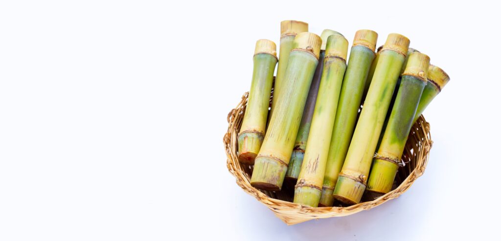 Maternal and Child Health Centre: How to Register & Book Online