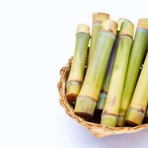 Maternal and Child Health Centre: How to Register & Book Online