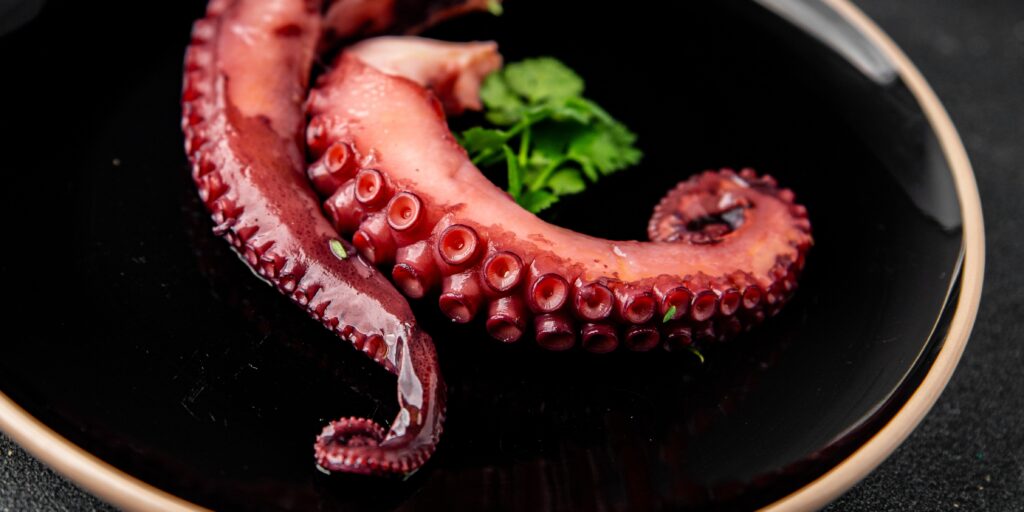 【八爪魚】了解6大功效、卡路里、食用禁忌（附營養及食譜）