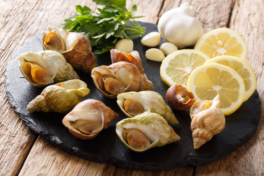 【響螺】了解6大功效、卡路里、食用禁忌（附營養及食譜）