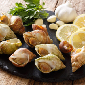 【響螺】了解6大功效、卡路里、食用禁忌（附營養及食譜）