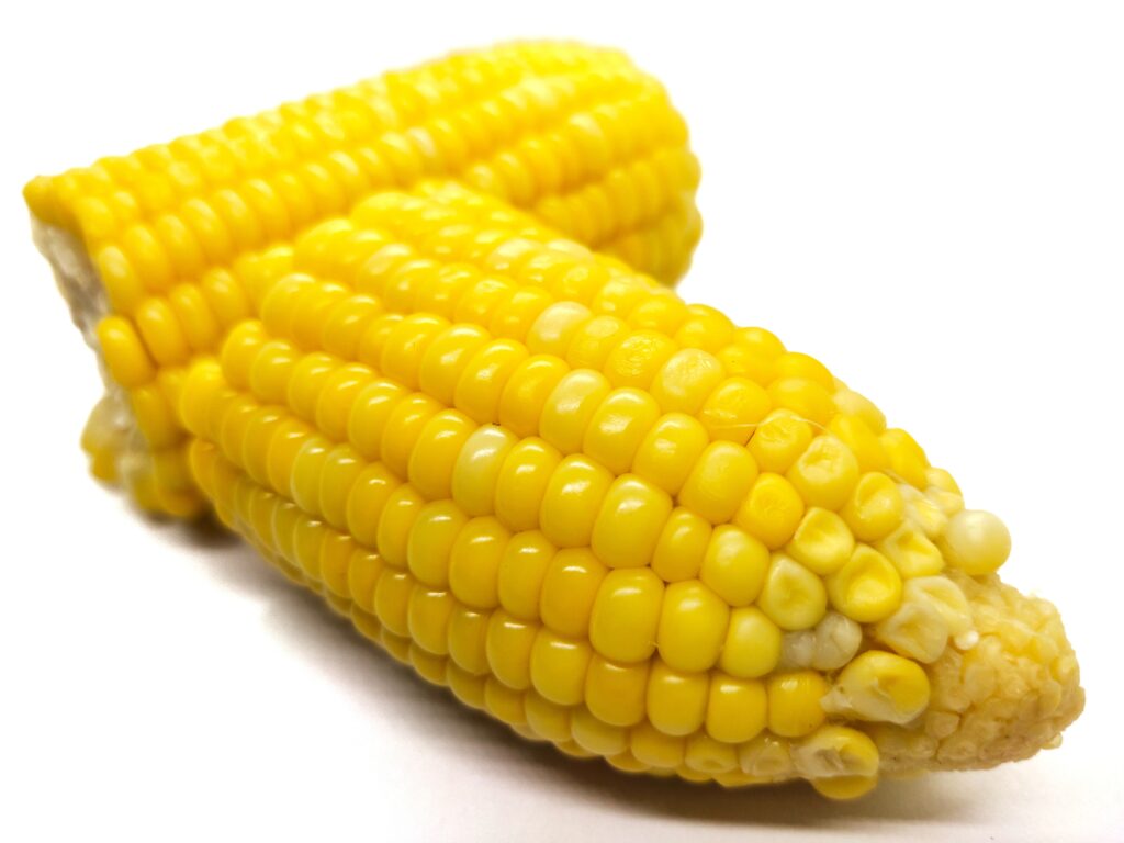 【玉米筍】了解6大功效、卡路里、食用禁忌（附營養及食譜）