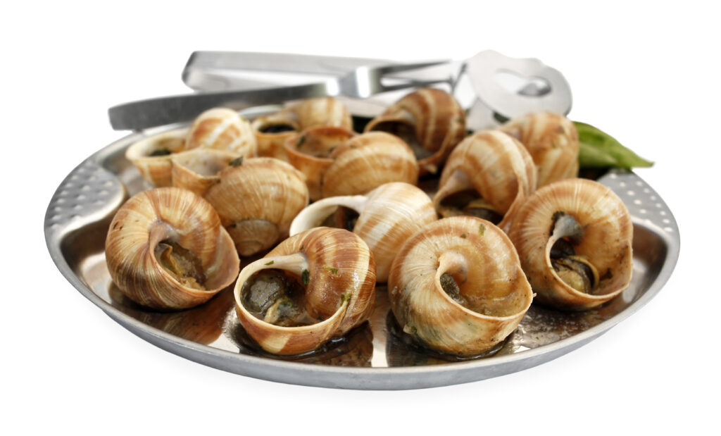 【花螺】了解6大功效、卡路里、食用禁忌（附營養及食譜）