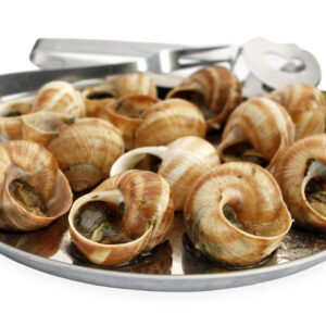 【花螺】了解6大功效、卡路里、食用禁忌（附營養及食譜）