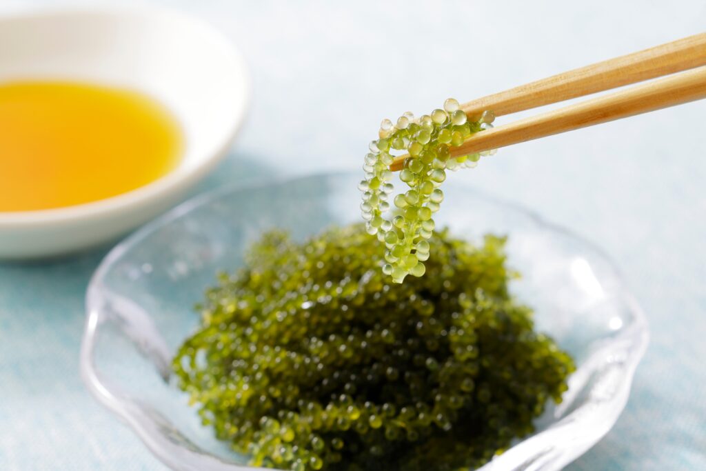 【海葡萄】了解6大功效、卡路里、食用禁忌（附營養及食譜）