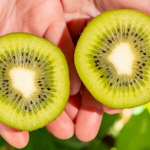 奇異果能預防大腸癌嗎？ 了解其對大腸癌的功效及飲食建議