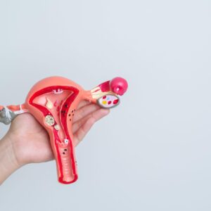 子宮擴刮術幾錢？自願醫保包唔包？